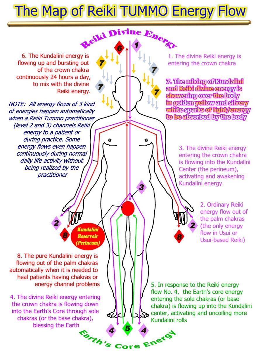 energy flow