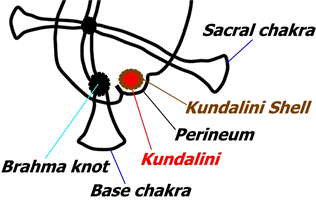 Kundalini Overview Padmacahaya Working with the kundalini to allow those wounds to process through our body. kundalini overview padmacahaya